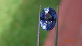 Natural Oval Blue Sapphire 6.81ct (Unheated)