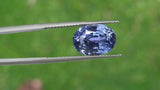 Natural Blue Oval Sapphire 8.03ct (Unheated)
